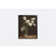 New Year's Tulips I Print by Sarah Bird-1125161207