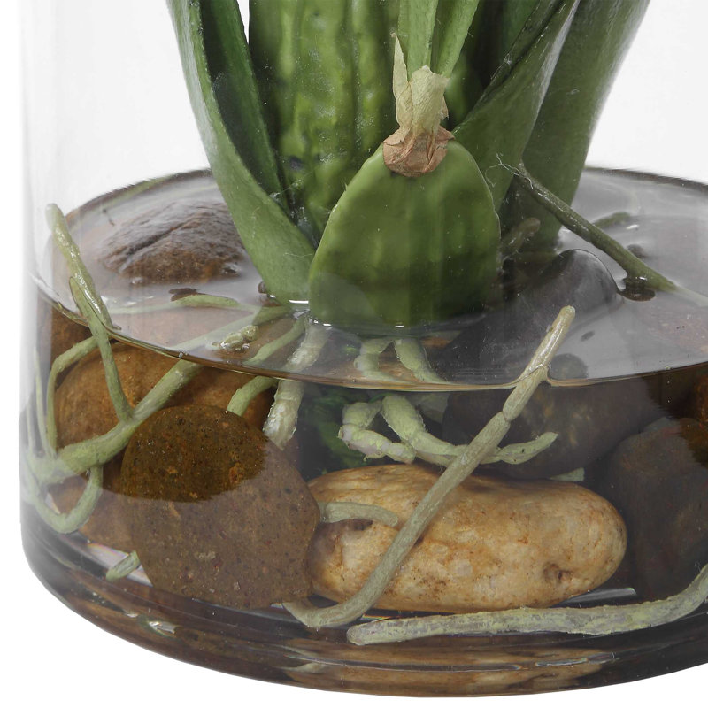 Orchidée araignée dans un vase en verre