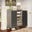29.52” Shoe Cabinet With Doors-1507180345