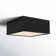 Leni LED Flush Mount