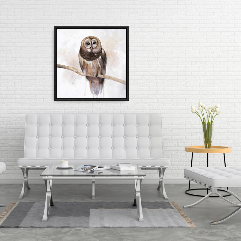 " Barred Owl "