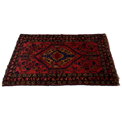 Orlah Oriental Area Rug in Red