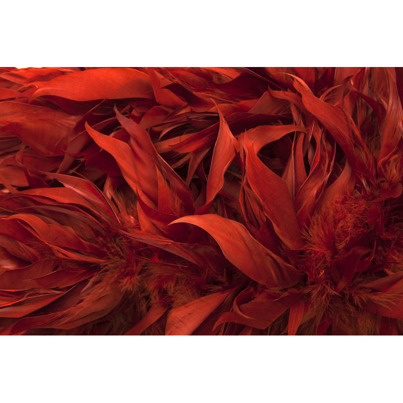 Plumes d'oiseaux rouges Boa par Magmos