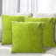 Rhylie Indoor / Outdoor Green Square Cushion Cover