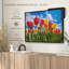 Impression sur toile Spring Spring-100704885