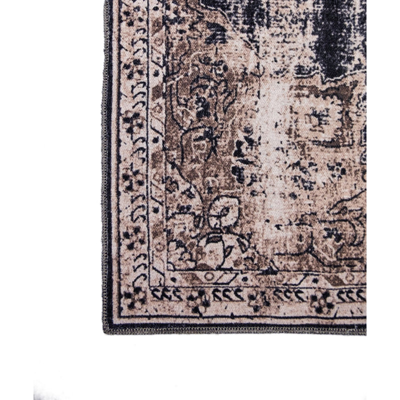 Jessieca Washable Oriental Indoor / Outdoor Rug, Rectangle 4' x 6'