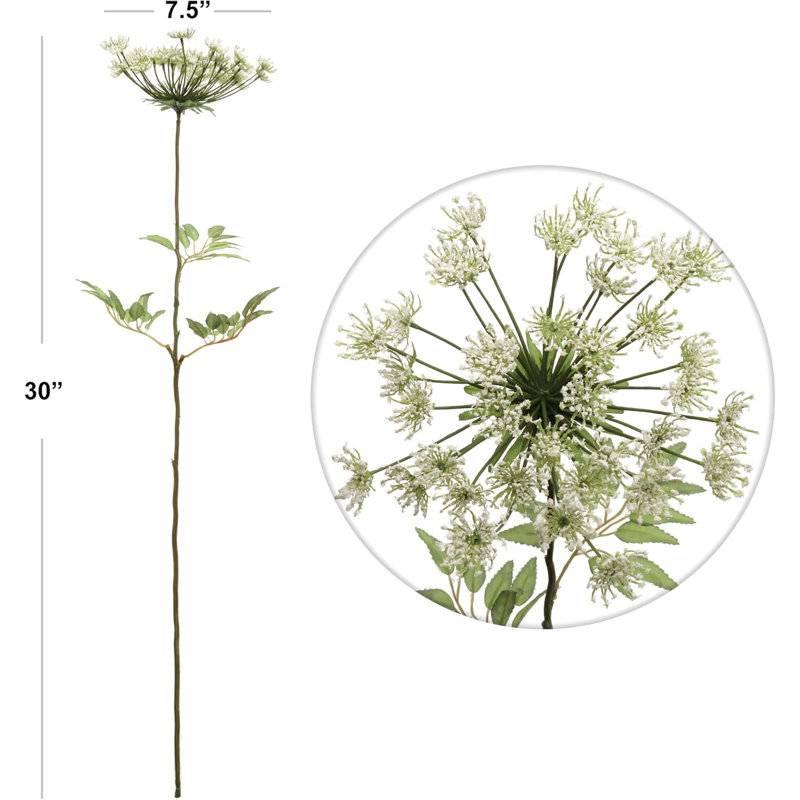Tige de Queen Queen Lace Sprays