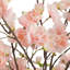 Isadora Cherry Blossom Arrangement