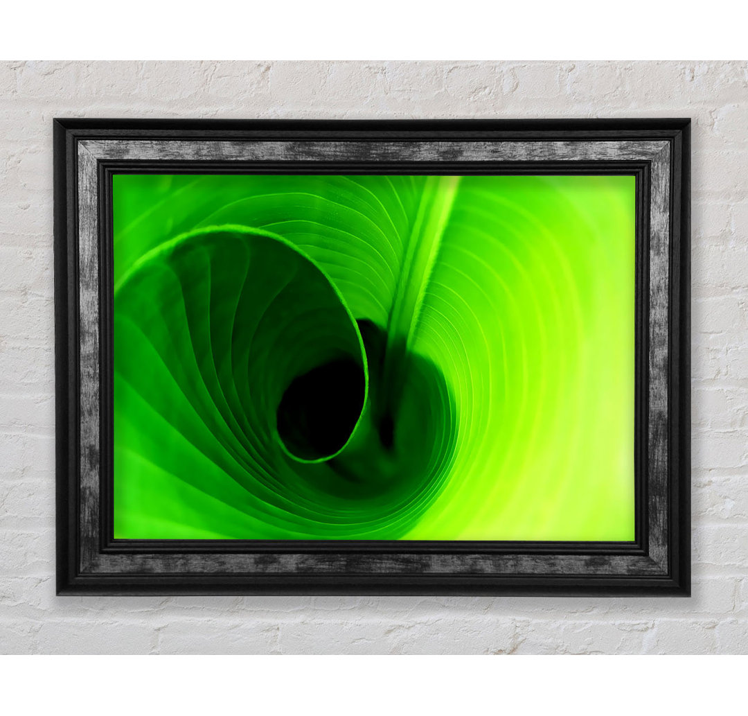 Twist Of A Green Leaf - Einzelner Bilderrahmen Kunstdrucke