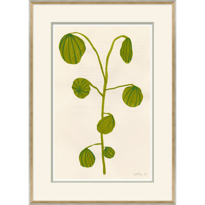 Fruity I Giclee Print by Susan Hable
