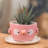 Zoomie Kids Handmade Pink Bird Spring Ceramic Mini Flower Pot (Small)