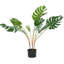 Artificiel fromage suisse plante en pot