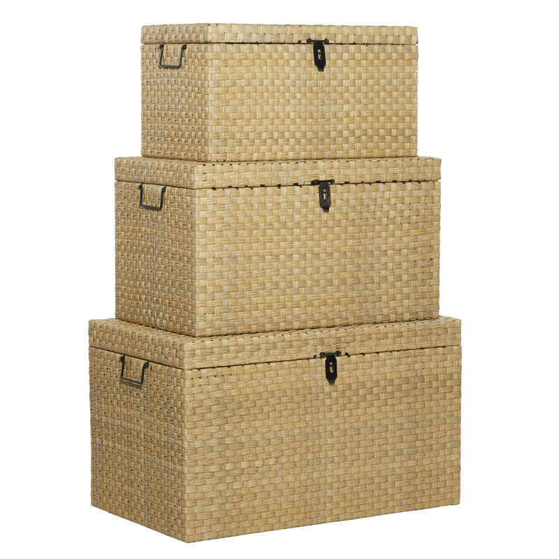 Cranbrook 3 Piece Metal Accent Trunk