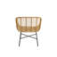 Roxana Outdoor Lounge Chair-773499467