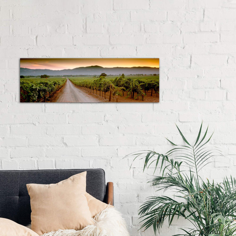 Vineyard Road, Napa Valley, California, USA - Wrapped Canvas Panoramic Print, 121.92 cm H x 40.64 cm W x 1.91 cm D
