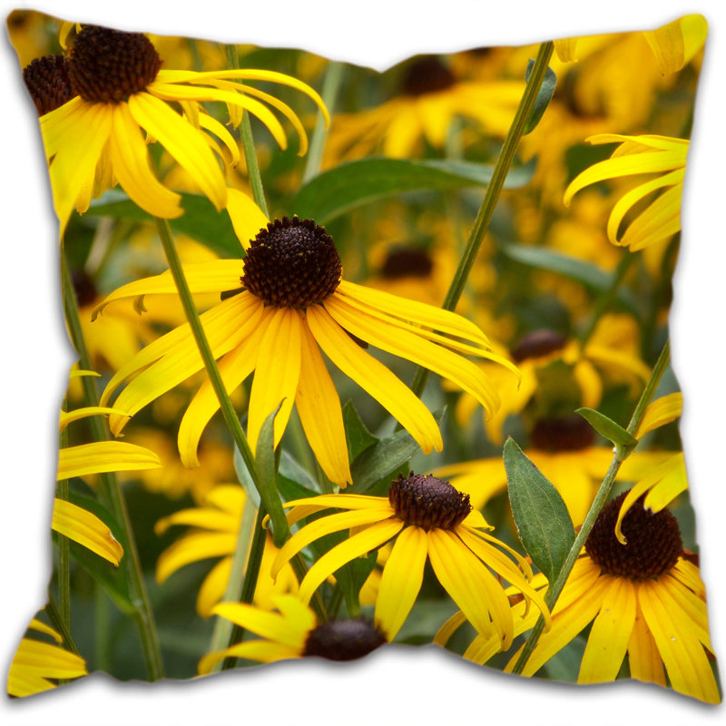 Buddy Square Cushion