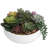 4.33'' Faux Succulent in Ceramic Pot
