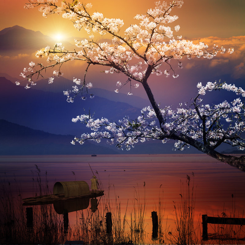 Sunrise by Nicholashan - Wrapped Canvas Print, 76cm H x 76cm W x 3.8cm D