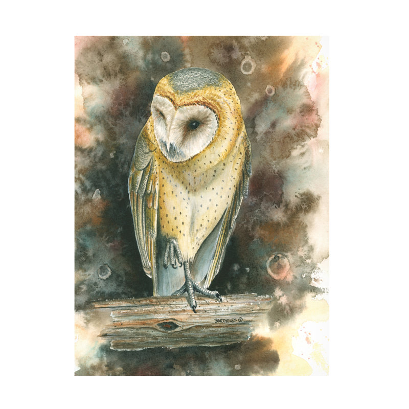 «Dave Bartholet Barn Owl», art sur toile, H 14 po x l 19 po