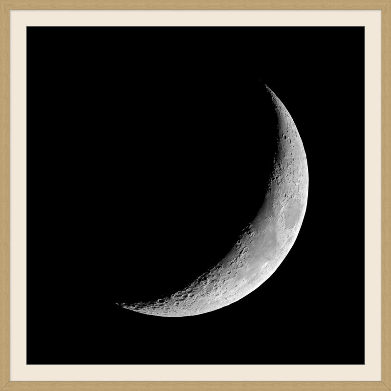 Lentille lunaire 1 par Thom Filicia - Photographie de boîte-cadre