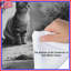 Édredon Three Tabby Cats-126400608