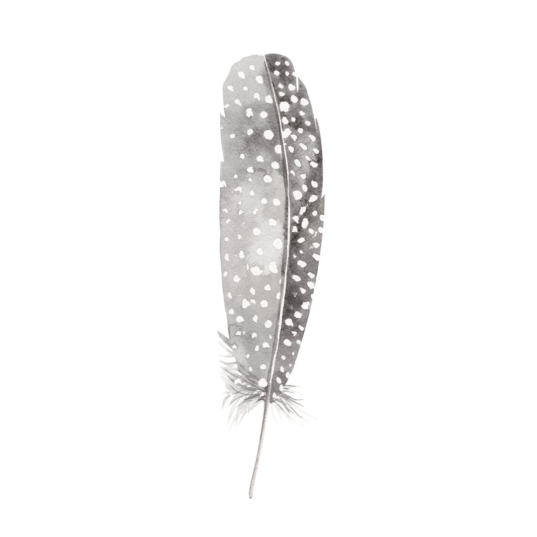 Neutral Grey Feather - Wrapped Canvas Painting Print