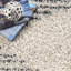 Shag Area Rug-2065000026