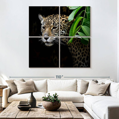 Brampt rôdant Jaguar