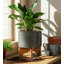 Jardinière en grès avec support en bambou Clingmans - Design moderne et élégant, matériaux de haute qualité-683406272-683366246
