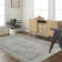 Oriental Indoor Rug