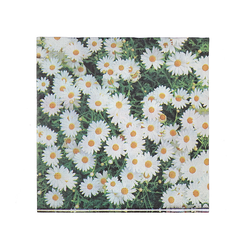 Disposable Paper Dinner Napkins