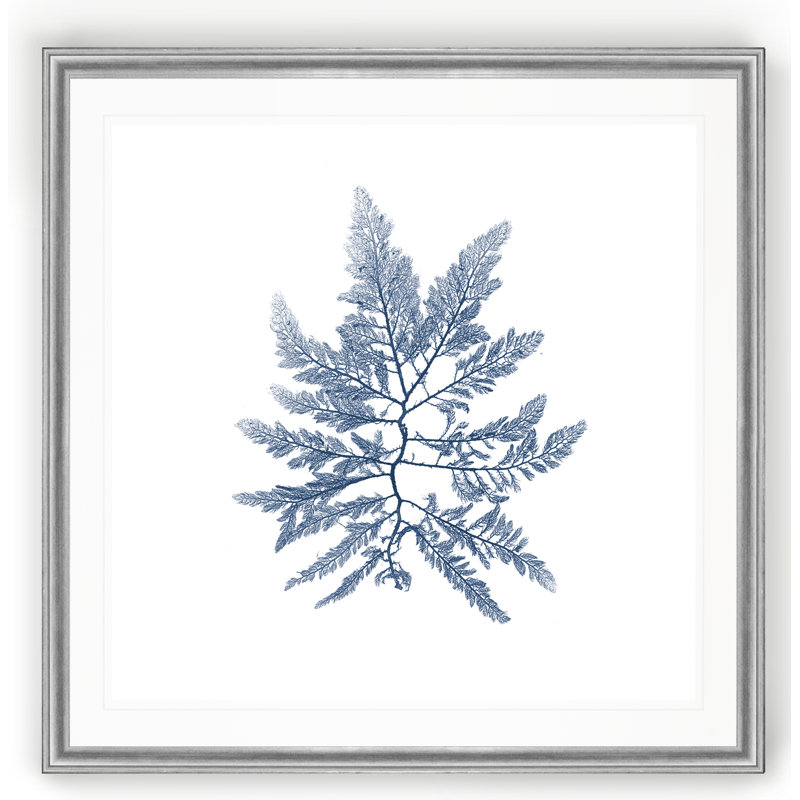 Marine Seaweed II - impression sur toile tendue, Cadre argenté, H 17,5 po x l 17,5 po x P 1,5 po