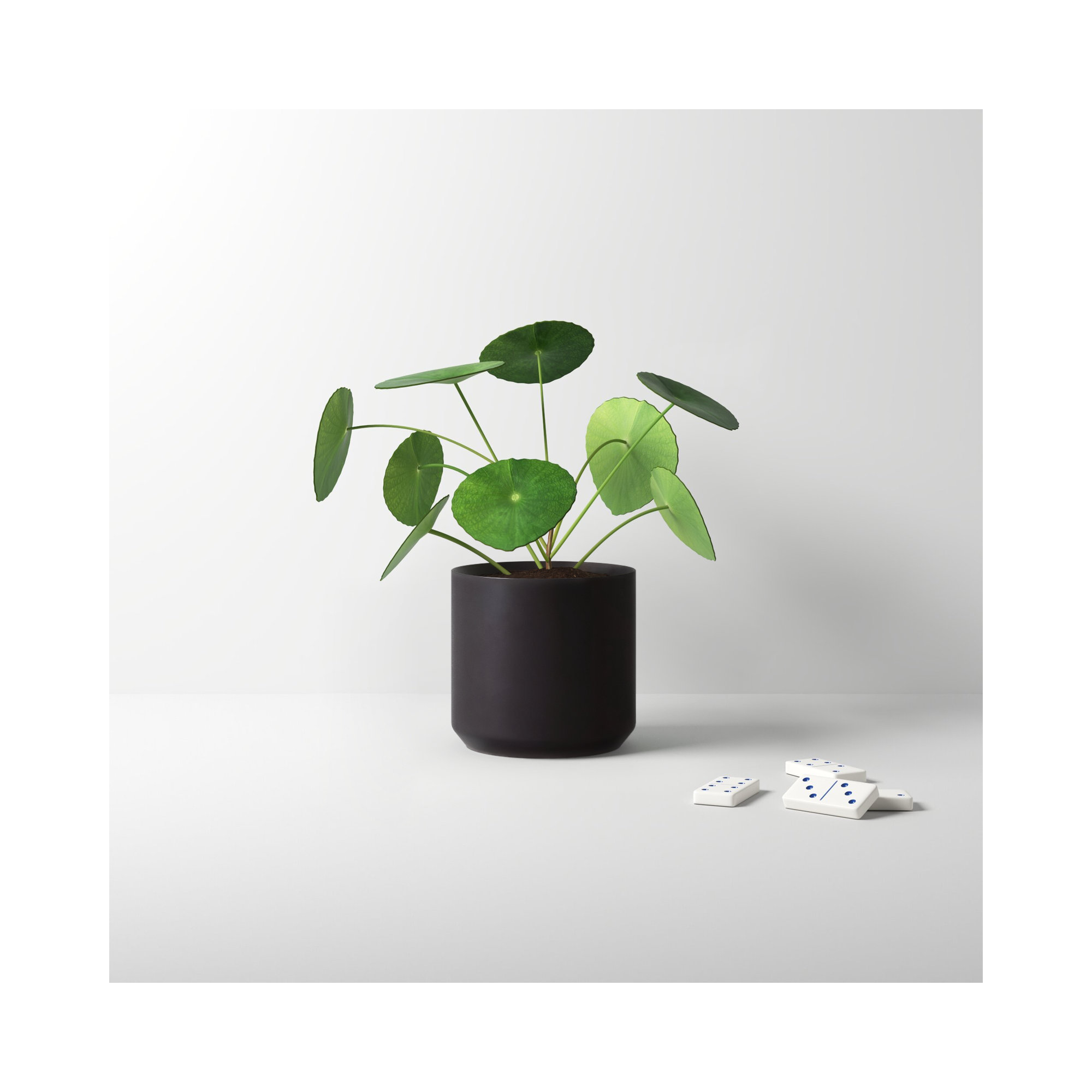 Parsons Handmade Ceramic Pot Planter, 2" H x 2.5" W x 2.5" D, Black