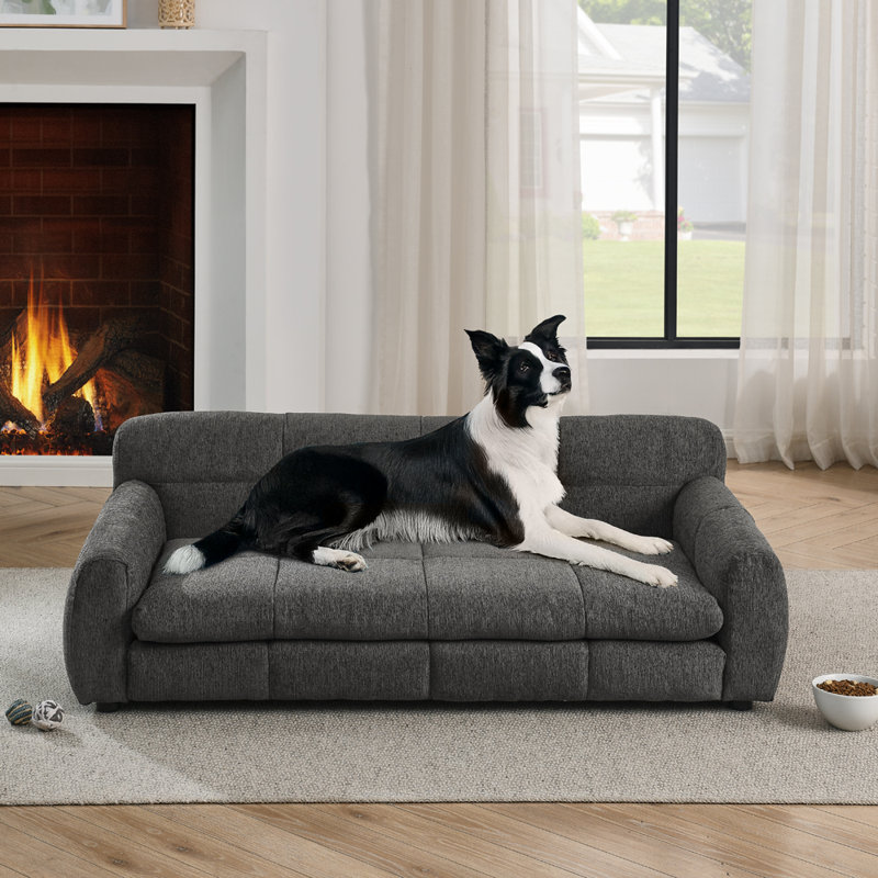 Canapé-lit pour animaux de compagnie avec dossier et accoudoirs, Beige, H 14,5 po x l 38 po x P 22 po