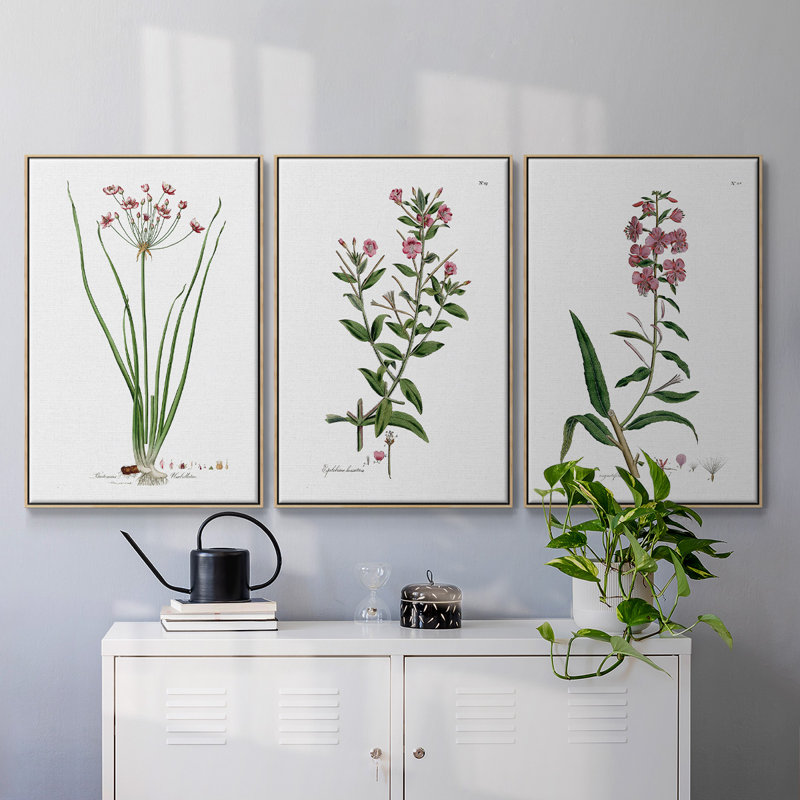 Rose Botanical I, ensemble de 3 toiles encadrées sur toile, H 40 po x l 78 po, Naturel