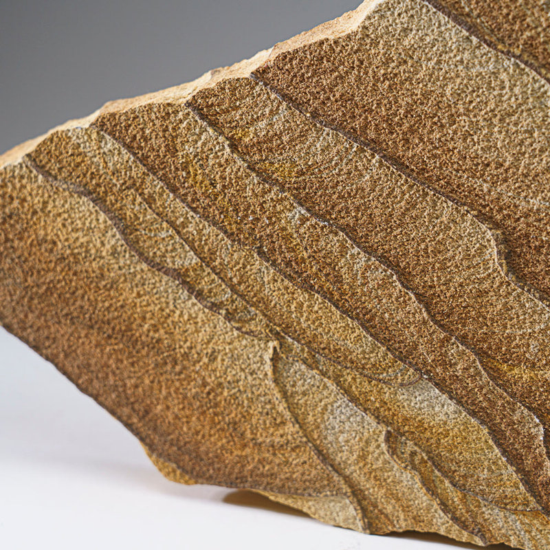 Genuine Sandstone Slice From Arizona (6.5 Lbs)