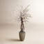 Danao City Cherry Blossom and Dragon Wood Tree in Rope Pot