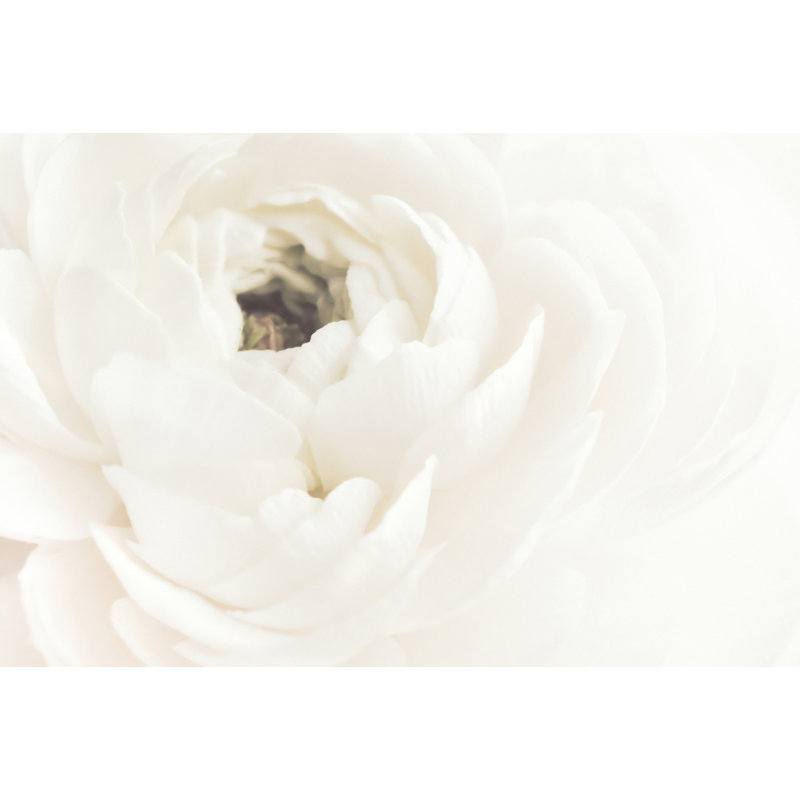 Wrapped Canvas Print, 50.8 cm H x 76.2 cm W