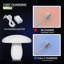 Grenada LED Party Light Display Decoration Convex Mushroom Shape-63219557