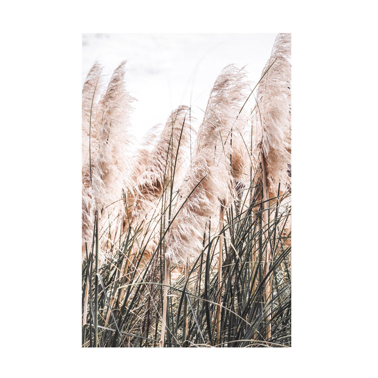 Red Barrel Studio® Cadhla Pampas | Wayfair