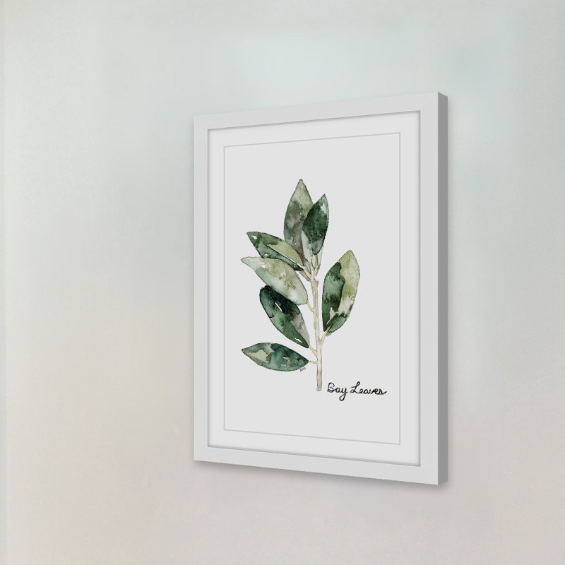 « herb bay leaves »-cadre photo imprimé sur papier, H 30 po x l 20 po x P 1,5 po, Cadre blanc