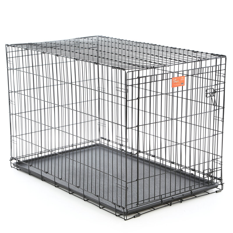 Cage pour chien MidWest Homes for Pet, Très petit (H 16 po x l 13 po x P 22 po)
