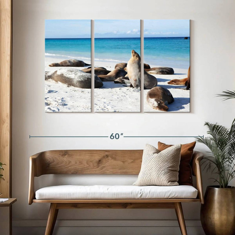 Brampt Galapagos Sea Lion Colony, 32" H x 50" W