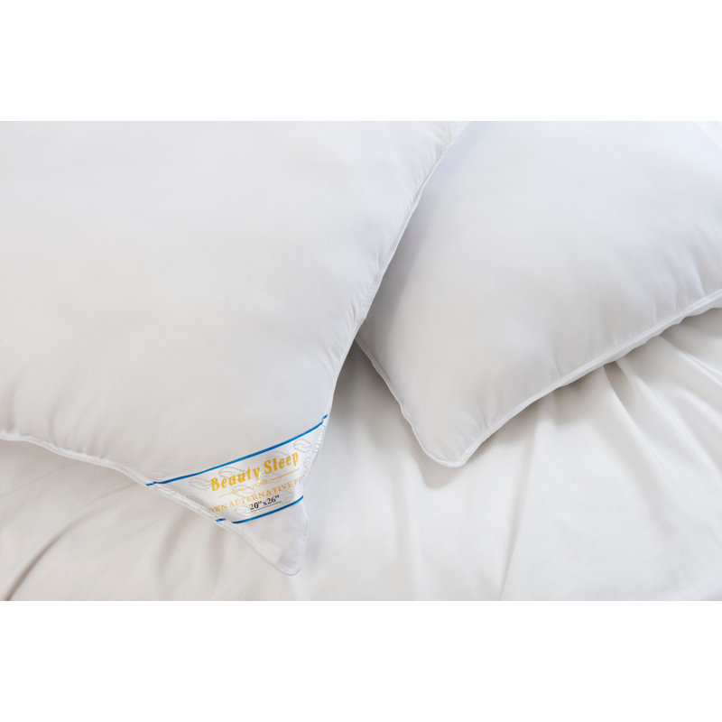 Ensemble de 4 coussins en duvet BeautySleep, Standard / grand - paquet de 4