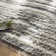 Rafe Wool Indoor Rug