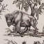 Western Toile Fabric-1459262890