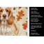 Serviette de cuisine orange orange Roan English Cocker Spaniel-2083472847