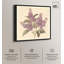 «Rose in Soft Light Canvas», art botanique rétro par Art Remedy-107781133-107781134