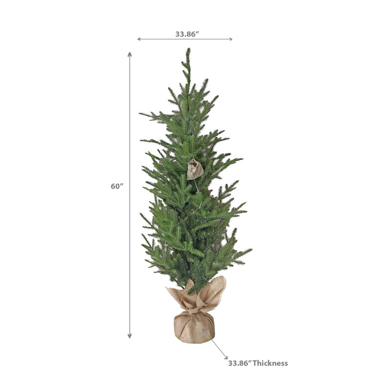 Arbre de Noël 60 "Aspen avec lumière