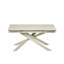 Extendable Dining Table